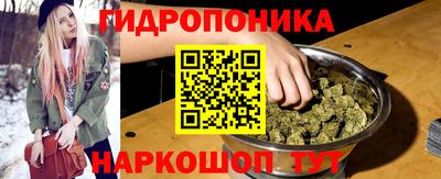 крисы Ливны