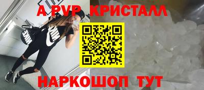 крисы Ливны