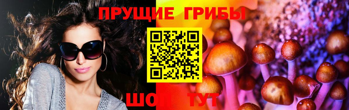 Тихвин  Псилоцибиновые грибы GOLDEN TEACHER  Вход с VPN 
